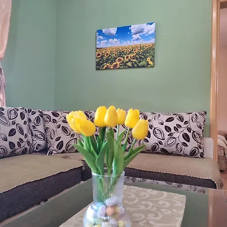 Apartment Eko Backi Petrovac