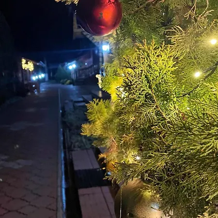 Apartment Eko Backi Petrovac
